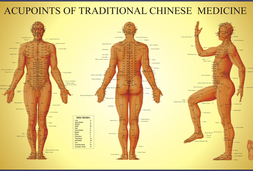 Traditional Chinese Medicine